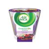 air-wick-tesla-berries-and-spice-105g-isplati-se-online-kupovina