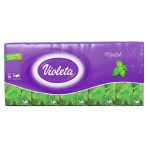 VIOLETA DETERDŽENT ZA RUBLJE PROtect BLACK 2,7L