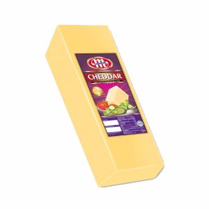 MLEKOVITA SIR CAMEMBERT 120G