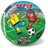 11-3161 LOPTA SOCCER PVC 23cm