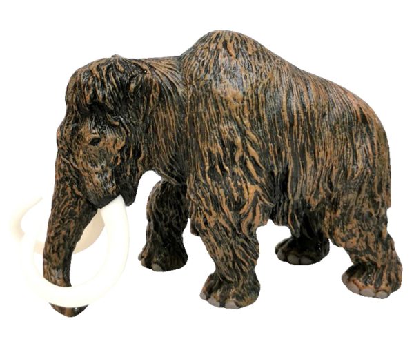 MKN490323 MAMUT 17x12cm